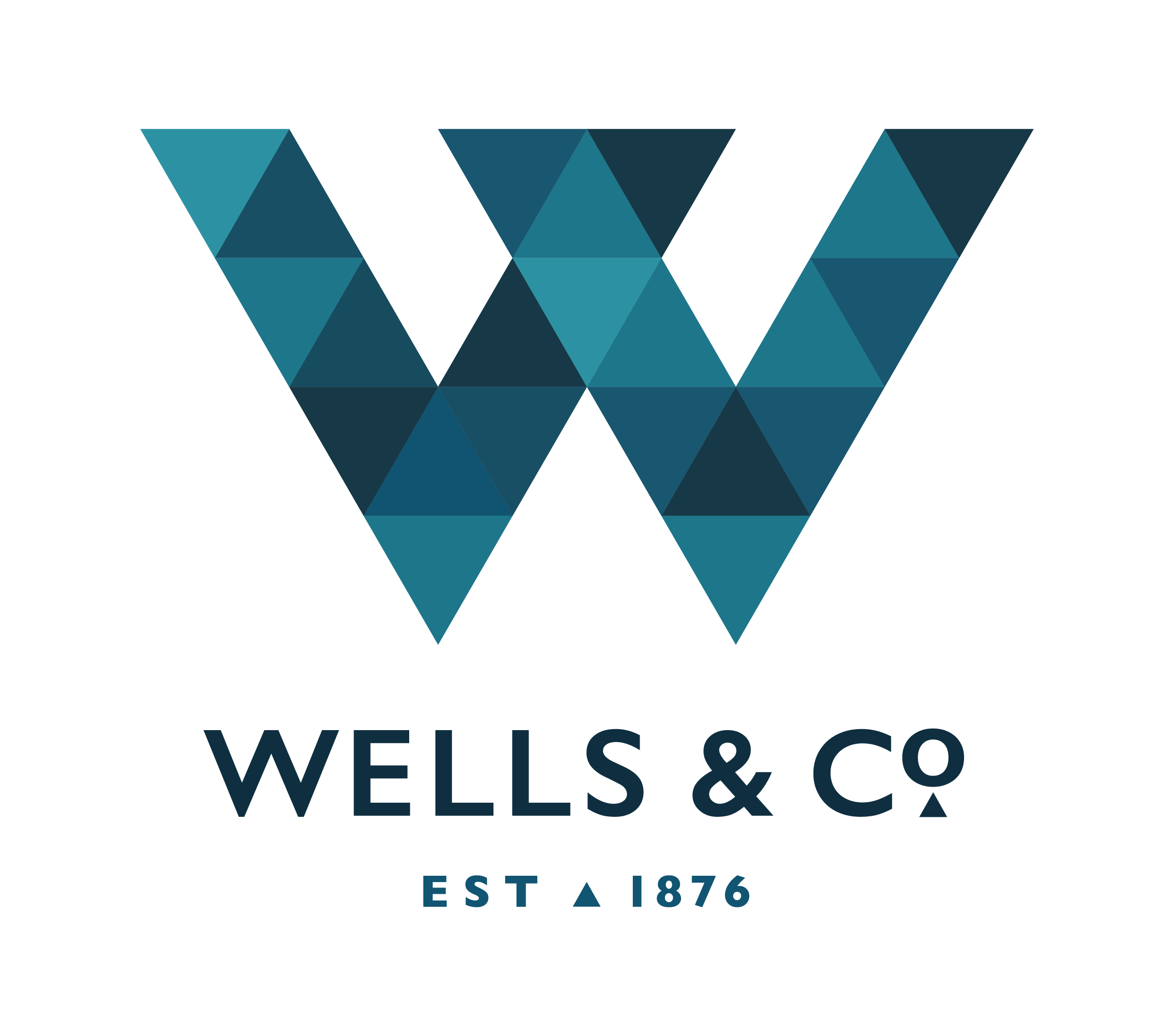 Wells & Co Logo